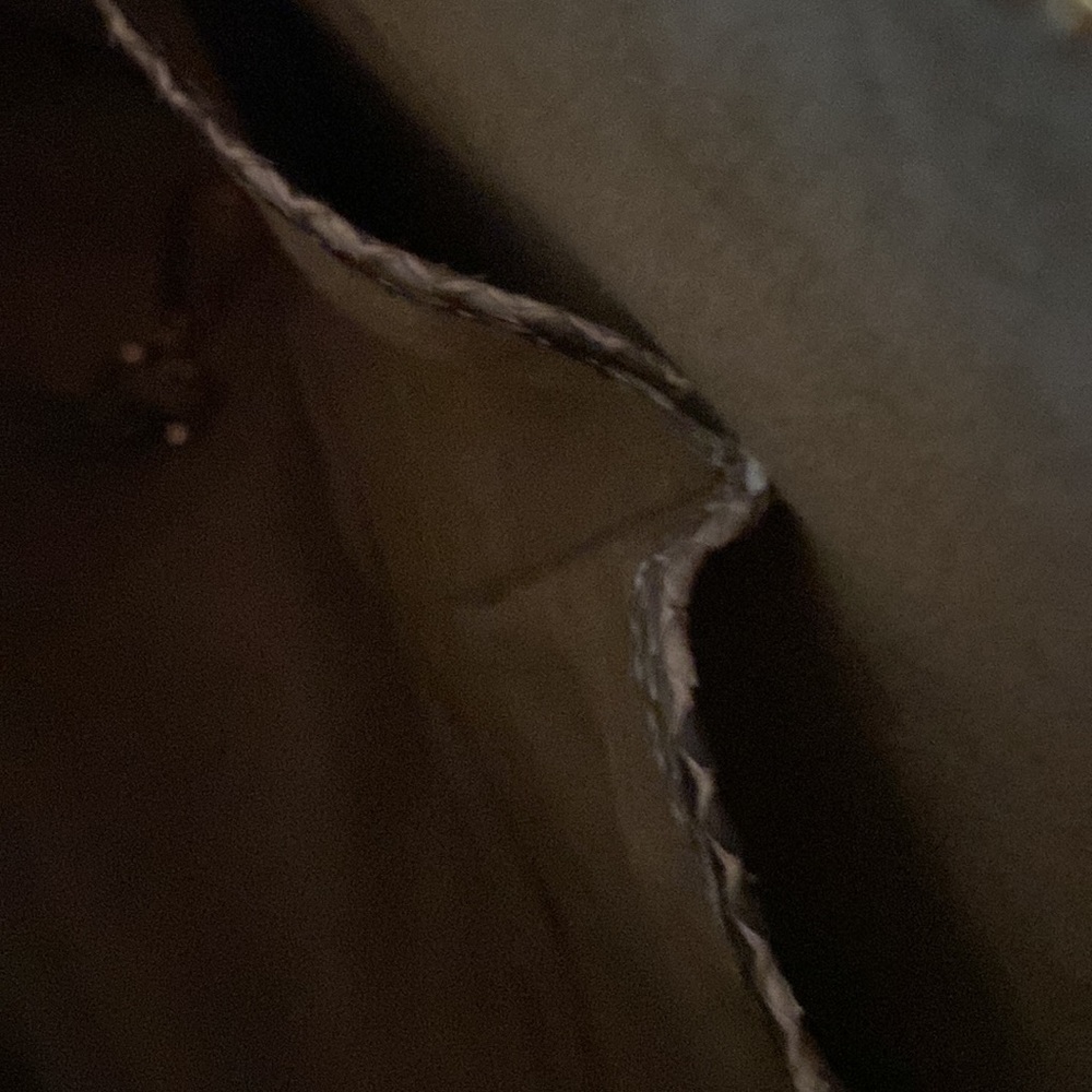 Nwot Genuine Python Tote 12x11x5 - image 5